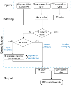 Workflow implemented in TEtranscripts