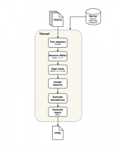 TEsmall workflow