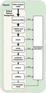 TEsmall annotation